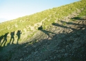 0_3749958_98375.jpg